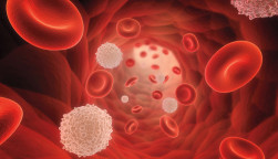 illustrarion of blood cells
