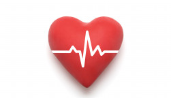 illustration of heart with beat wave