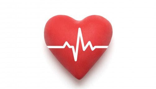 illustration of heart with beat wave
