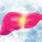 illustration of liver and virus