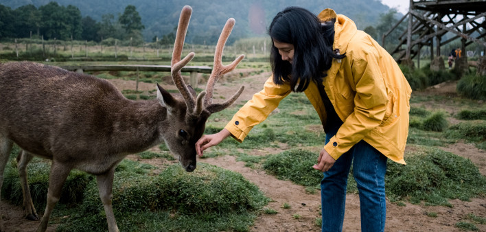 Young Asian Women Feeding Deer in Deer Farm