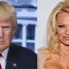 Donald Trump and Pamela Anderson