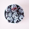 blackberries, berries, fruit, frozen fruit, bowl, snack