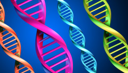 DNA-multicolor