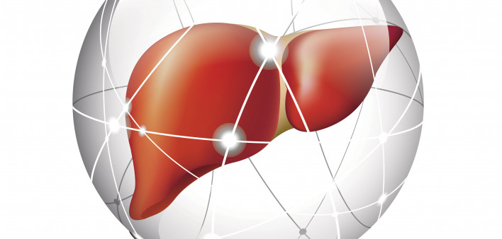 liver in sphere illustration