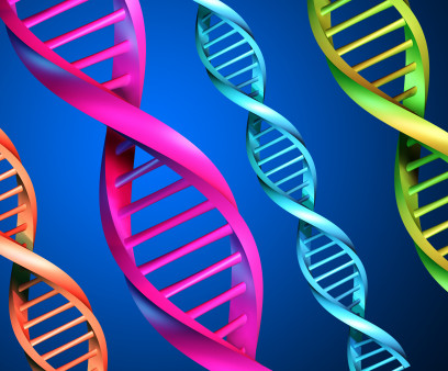 DNA-multicolor