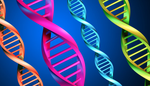 DNA-multicolor