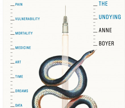 The Undying Anne Boyer