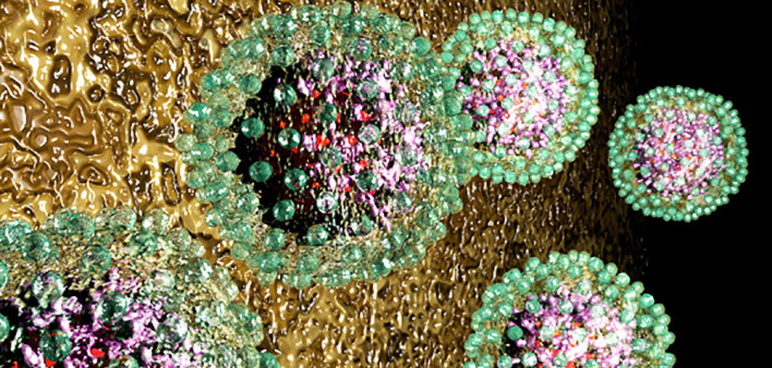hepatitis B, HBV