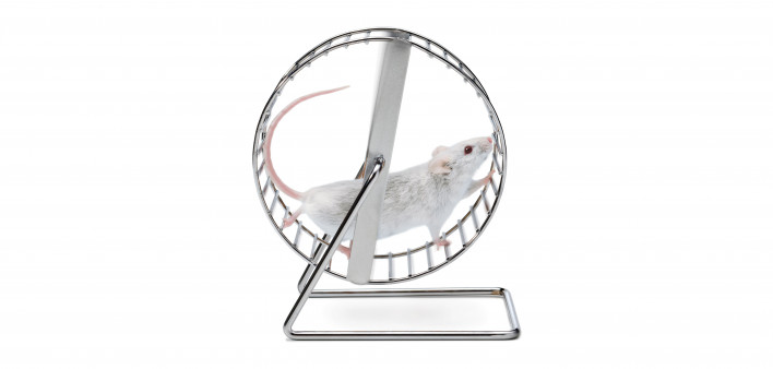 white mouse on wheel