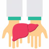 hand holding liver illustration