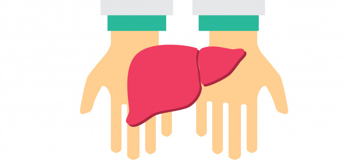 hand holding liver illustration