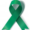 green ribbon hep c cure
