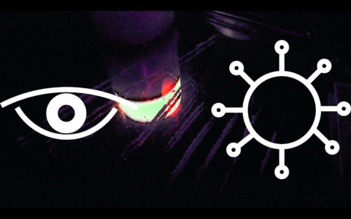 Day With(out) Art 2019