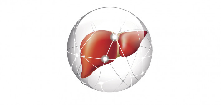 liver, liver cancer