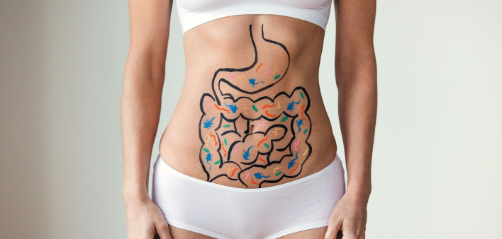 womans abdomone with digestive tract drawn of abdomine