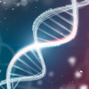 illustration of DNA Strands