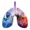 illustration of lungs
