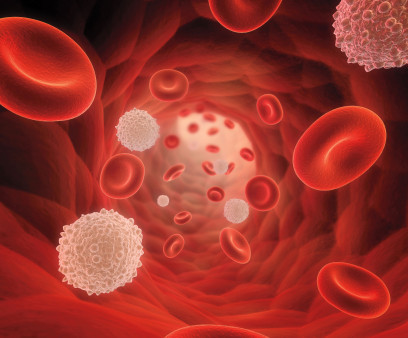 illustrarion of blood cells