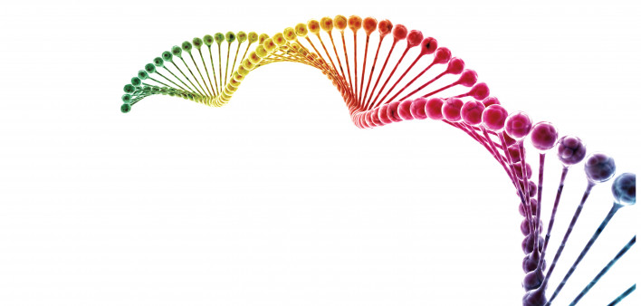 3d model of DNA colorful