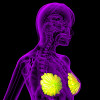 3D rendering of the breast