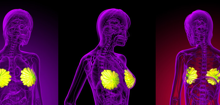 3D rendering of the breast