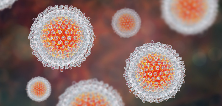 Hepatitis C virus, HCV