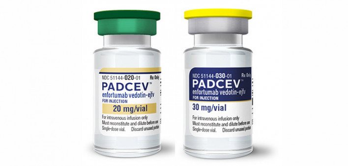 Padcev, enfortumab vedotin