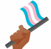 hand holding trans flag