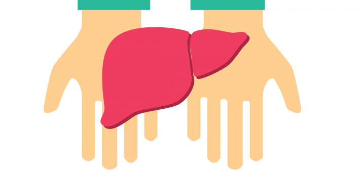 hand holding liver illustration