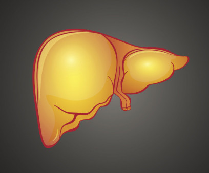 fatty liver