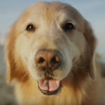 WeatherTech Super Bowl commercial