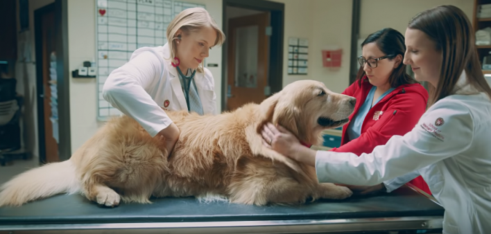 WeatherTech Super Bowl commercial