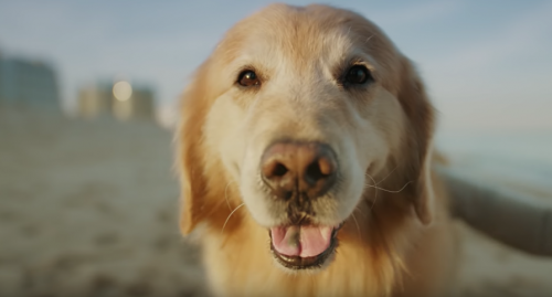 WeatherTech Super Bowl commercial