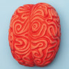 model of brain on blue background