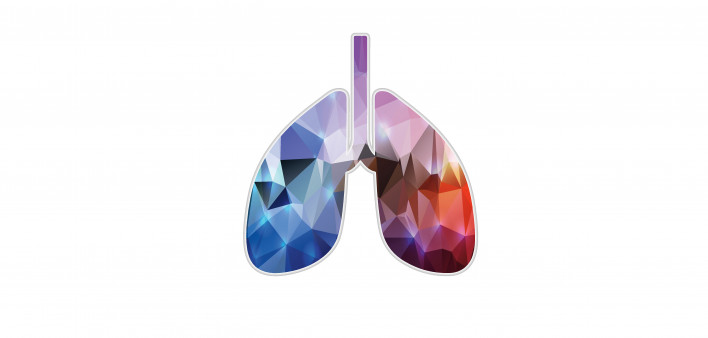 illustration of lungs