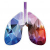 illustration of lungs