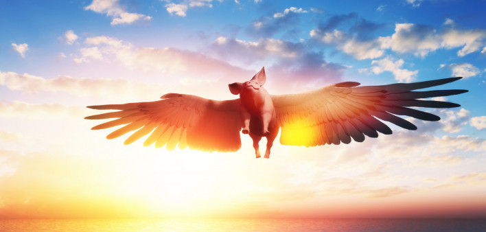 when pigs fly pig flies
