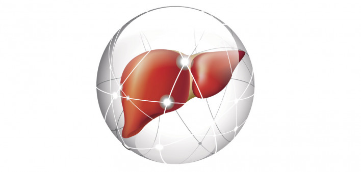 liver, liver cancer