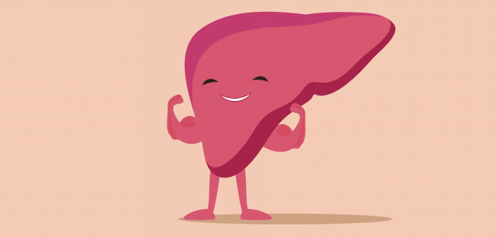 illustration of liver flexing muscles