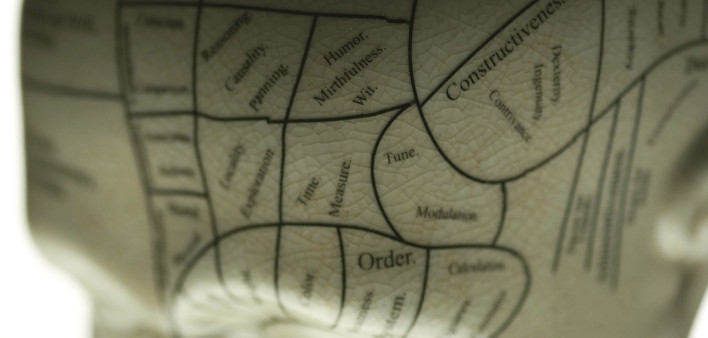 Phrenology Head