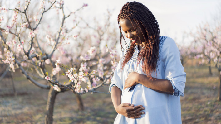 Portrait of a beautiful, young African woman enjoying her pregnancy at the orchard in bloom.