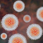 Hepatitis C virus, HCV