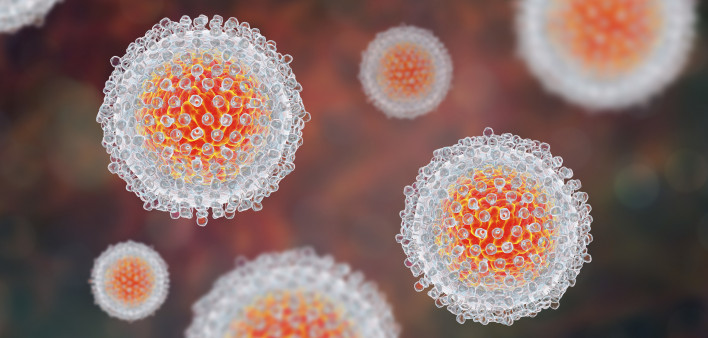 Hepatitis C virus, HCV