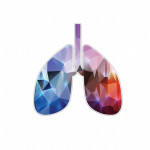illustration of lungs