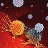 Cancer Immunotherapy as a human immune system therapy concept as a biomedical or biomedicine oncology treatment using the natural T cell fighting properties of the body as a 3D render.