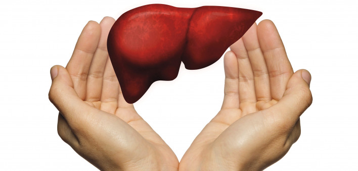 hands and liver illustration
