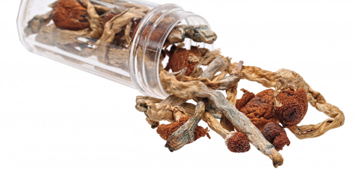 dried mushrooms in plastic vial
