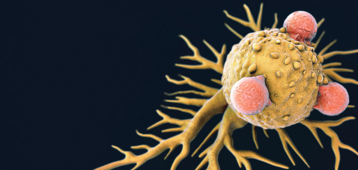 T cells (pink) attacking a cancer cell
