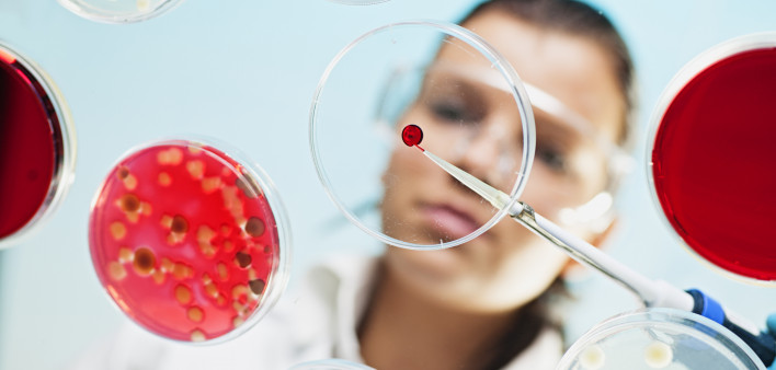 petri dish scientist